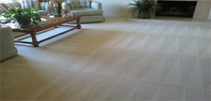 Carpet Cleaning